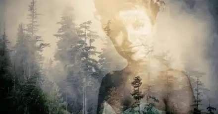 你对神剧《双峰》了解多少？