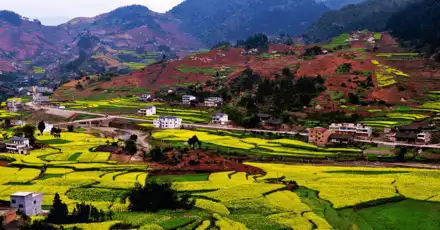 贵州话等级考试