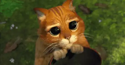 你靠什么吃飯？